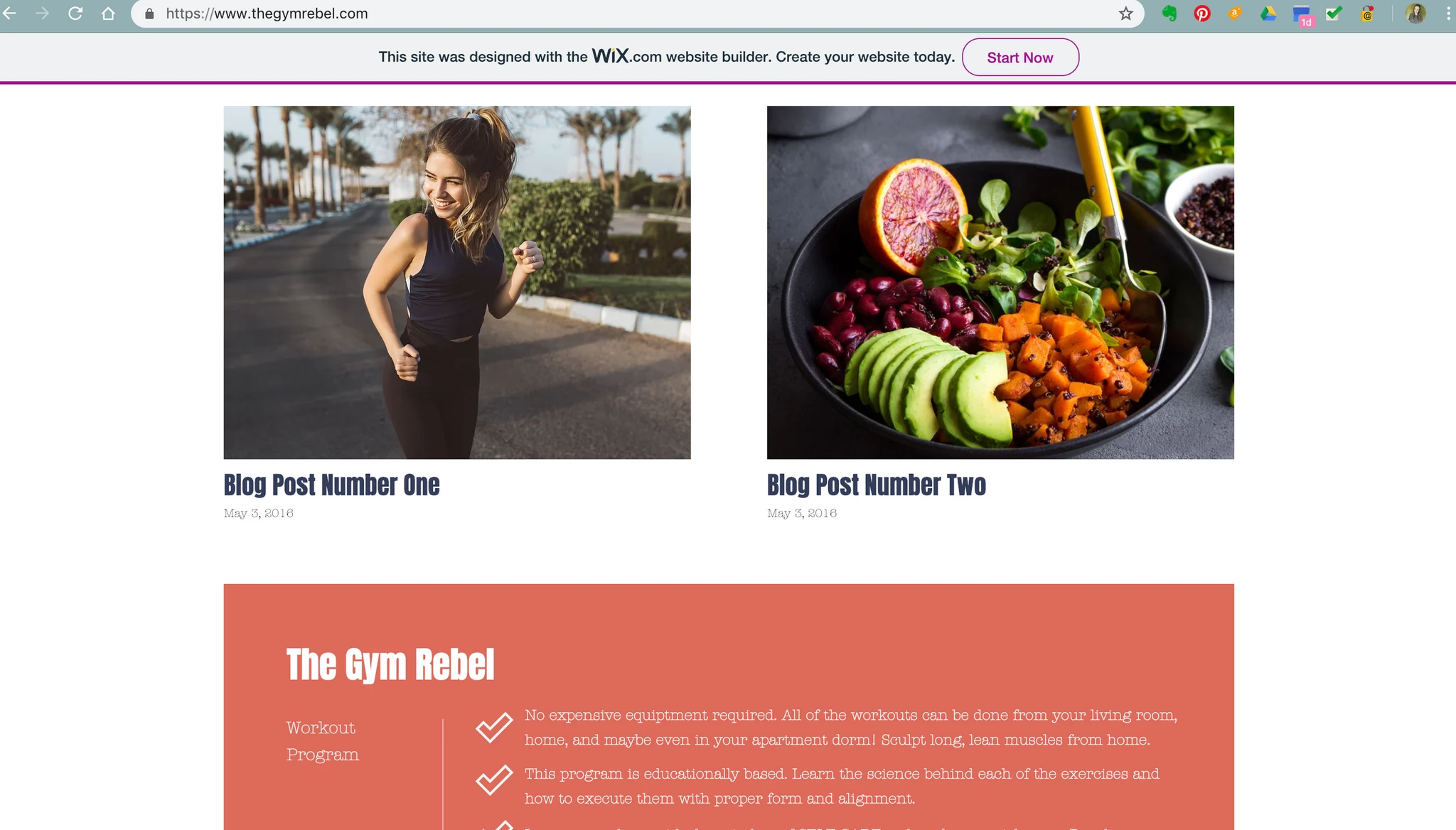 The Gym Rebel Website Design